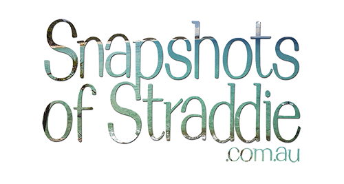 Snapshots of Straddie